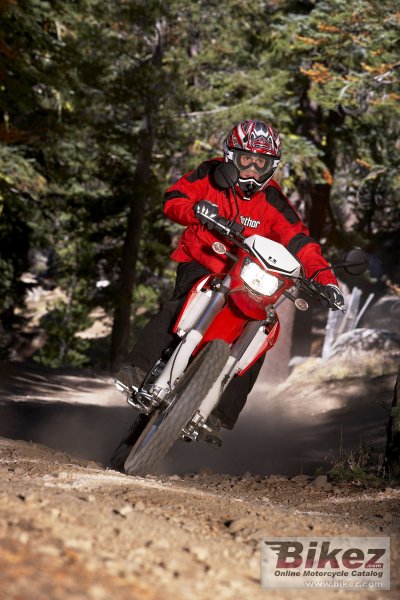 2009 Kawasaki KLX 250 S