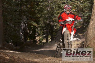 2009 Kawasaki KLX 250 S