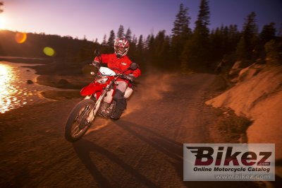 2009 Kawasaki KLX 250 S