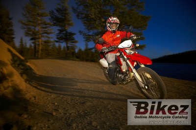 2009 Kawasaki KLX 250 S