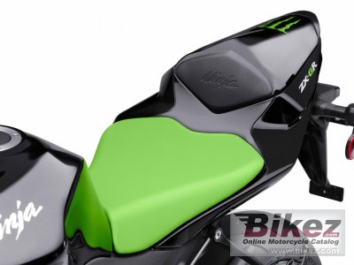 2009 Kawasaki Ninja ZX-6R Monster Energy