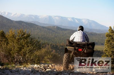 2009 Kawasaki Brute Force 750 4x4i