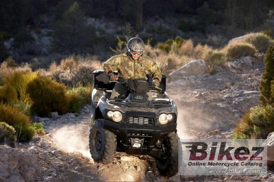 2009 Kawasaki Brute Force 750 4x4i Camo
