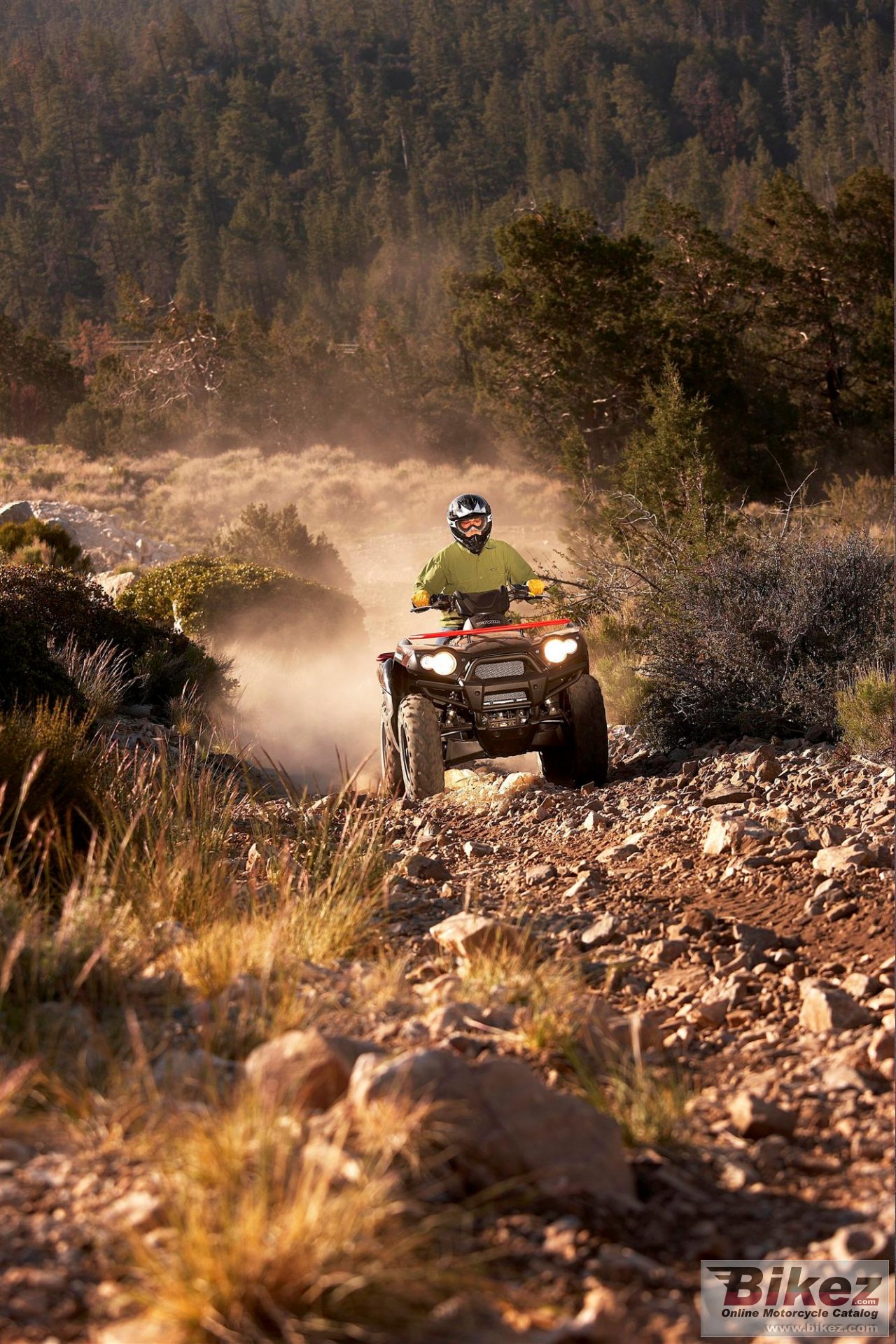 Kawasaki Brute Force 650 4x4i