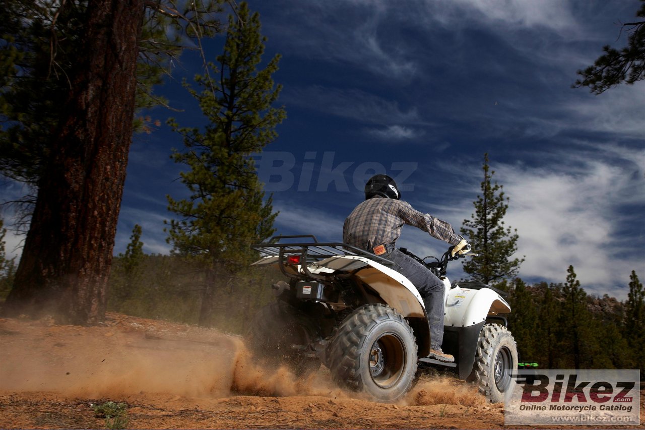 Kawasaki Prairie 360 4x4