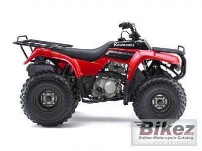 2009 Kawasaki Bayou 250