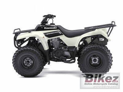 2009 Kawasaki Bayou 250