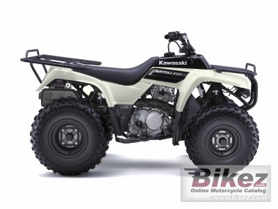 2009 Kawasaki Bayou 250