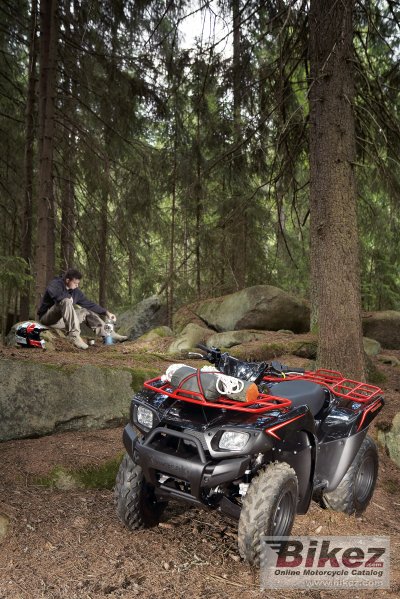 2009 Kawasaki KVF 650 4x4