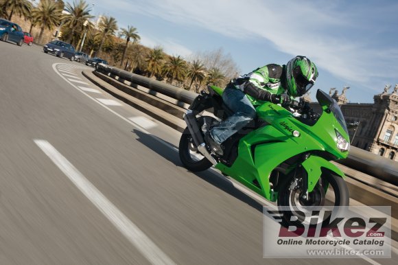 2010 Kawasaki Ninja 250R