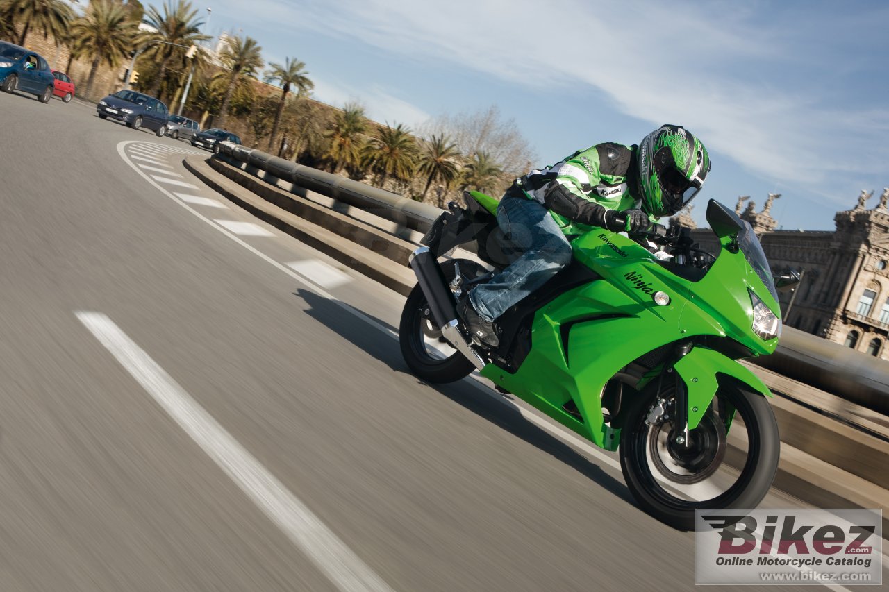 Kawasaki Ninja 250R