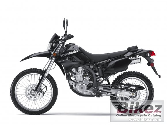 2010 Kawasaki KLX 250S