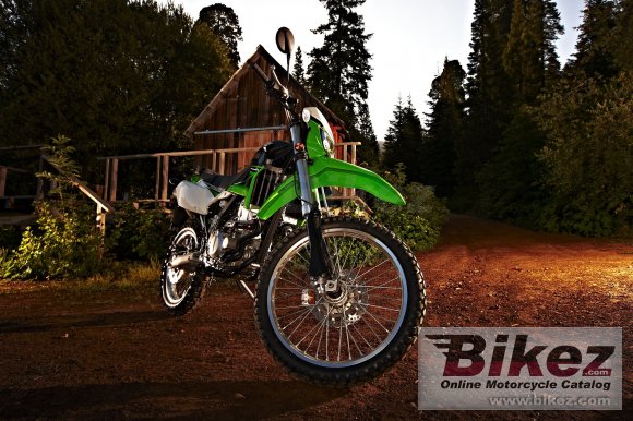 2010 Kawasaki KLX 250S