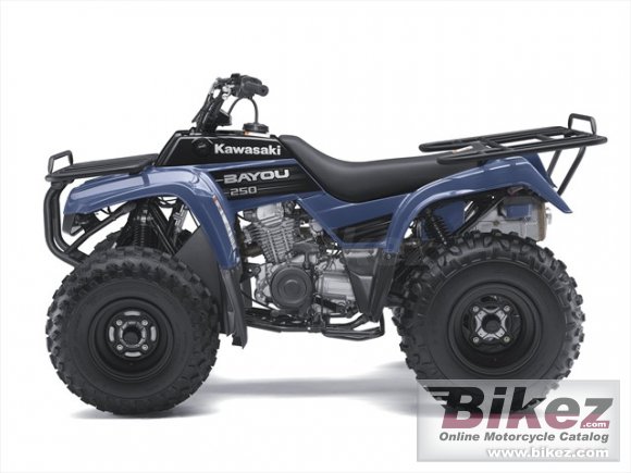 2010 Kawasaki Bayou 250