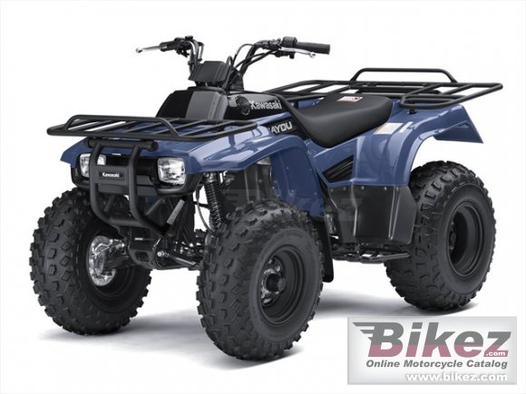 2010 Kawasaki Bayou 250