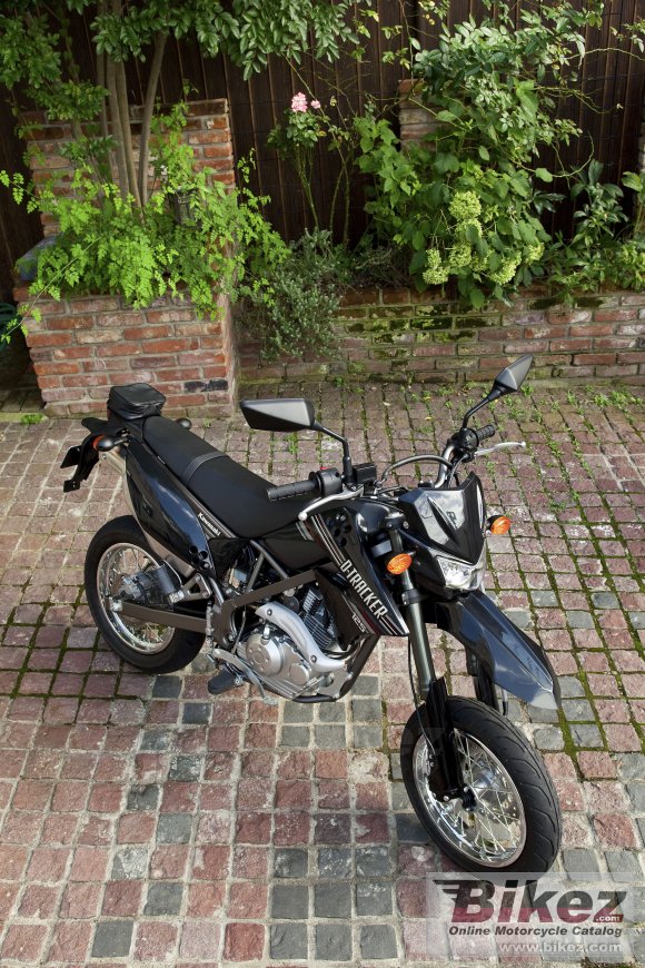 2010 Kawasaki KLX 125D