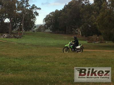 2011 Kawasaki KLX 250S