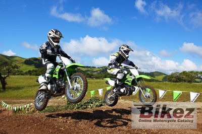 2011 Kawasaki KLX 110