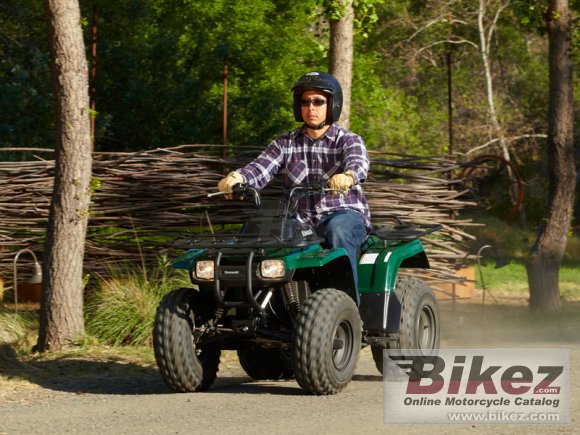 2012 Kawasaki Bayou 250