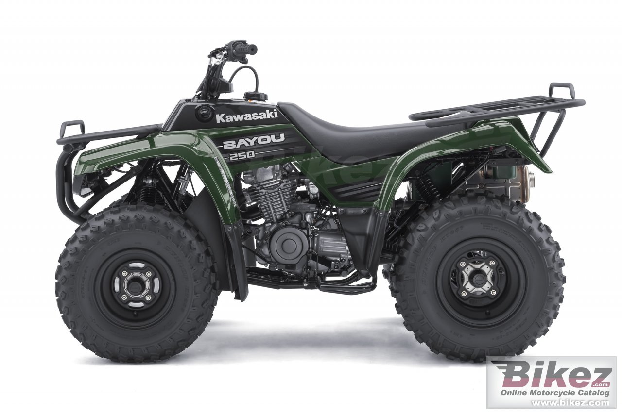 Kawasaki Bayou 250