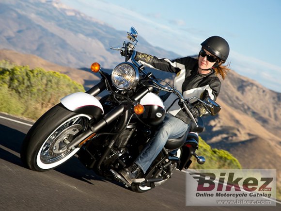 2013 Kawasaki Vulcan 900 Classic