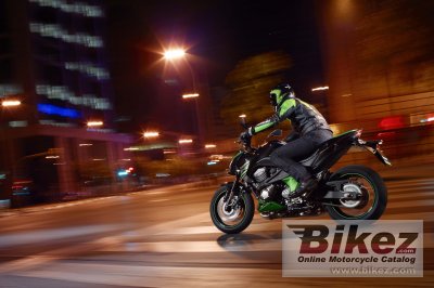 2013 Kawasaki Z800 e