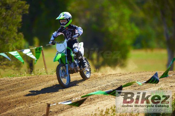 2013 Kawasaki KX110