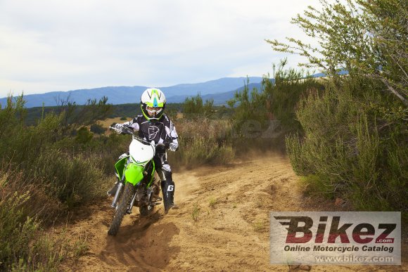 2013 Kawasaki KX110