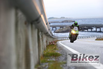 2014 Kawasaki Ninja  1000 ABS