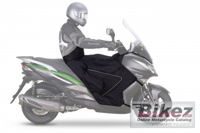 2014 Kawasaki J300