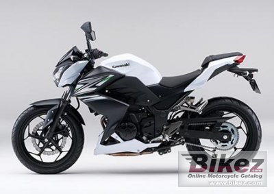 2014 Kawasaki Z250