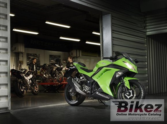 2015 Kawasaki Ninja  300