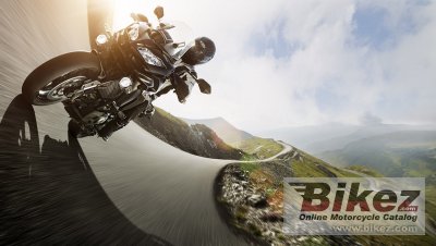 2015 Kawasaki Versys 1000