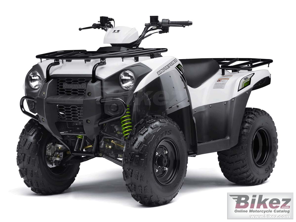 Kawasaki Brute Force  300