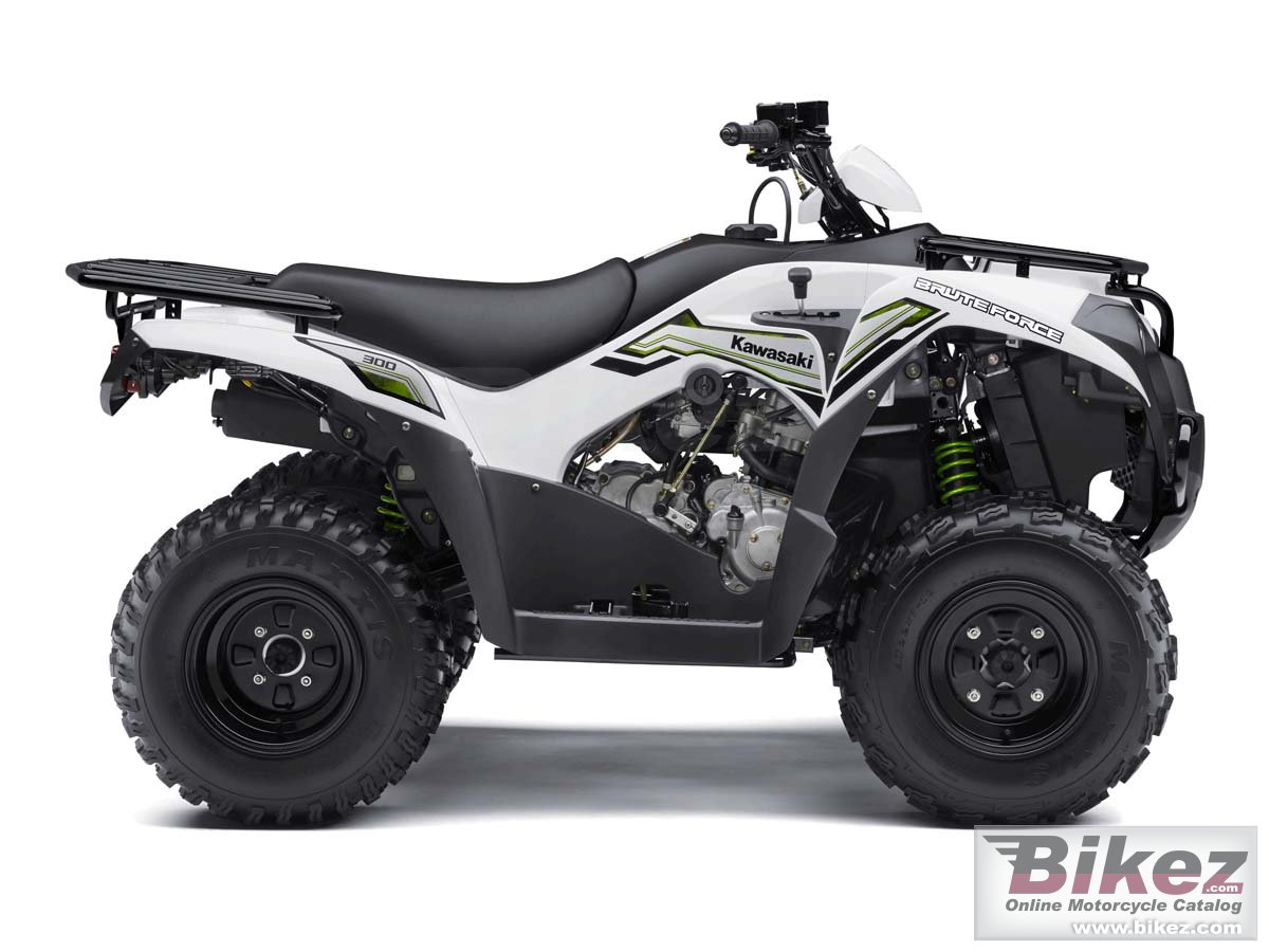 Kawasaki Brute Force  300