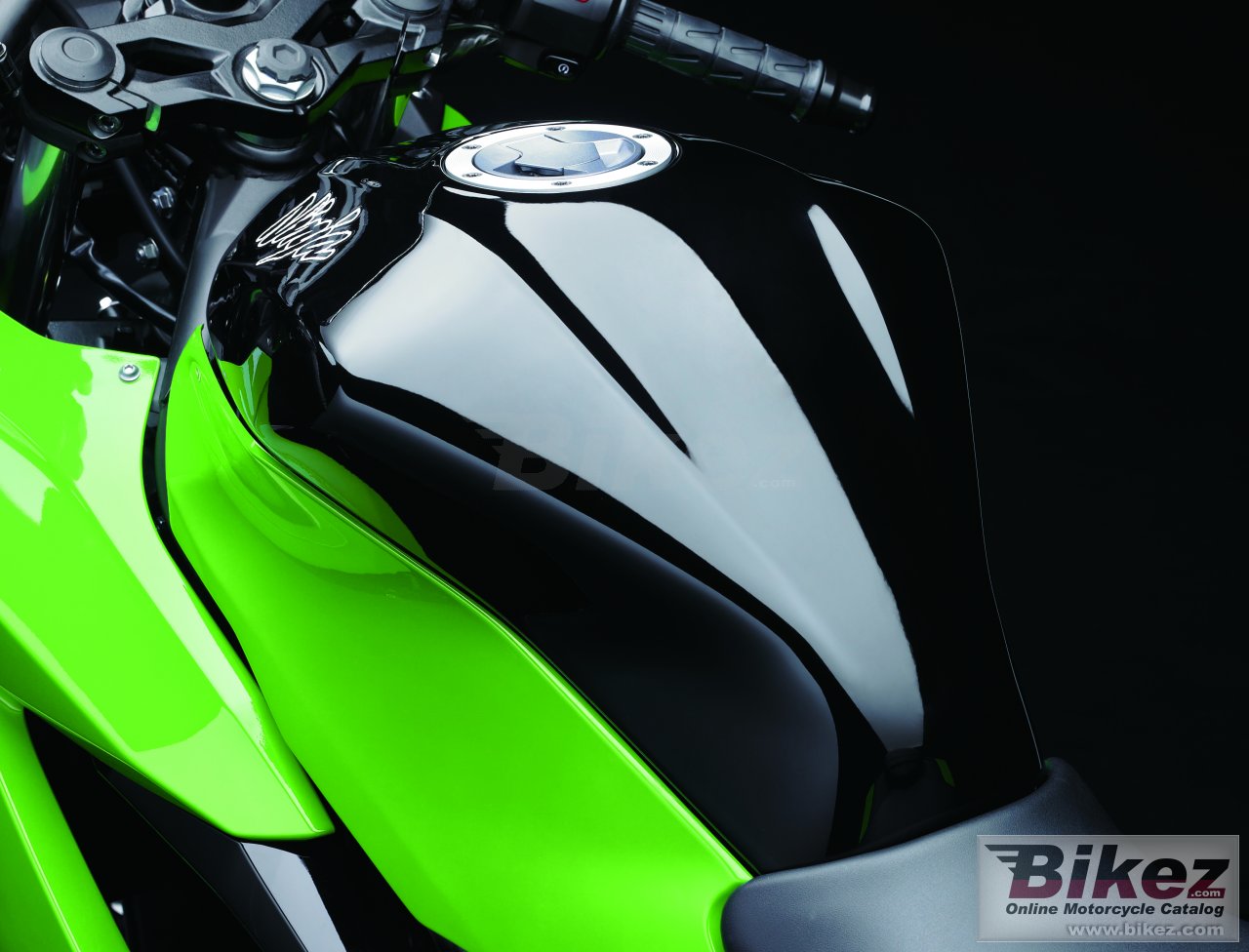 Kawasaki Ninja  250SL