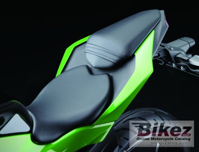 2015 Kawasaki Ninja  250SL