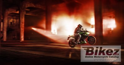 2015 Kawasaki Z300