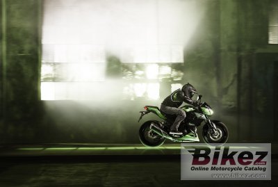 2015 Kawasaki Z300