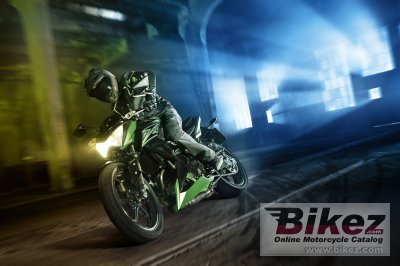 2015 Kawasaki Z300