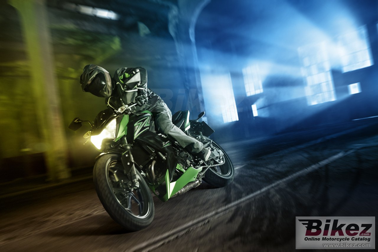 Kawasaki Z300