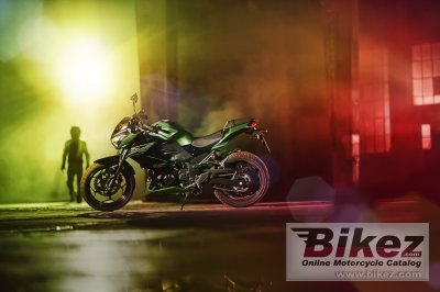 2015 Kawasaki Z300