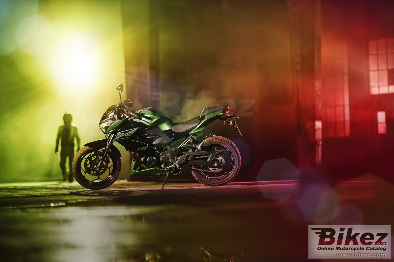 Kawasaki Z300