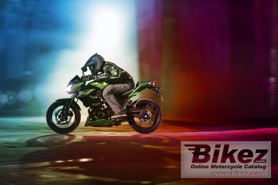 2015 Kawasaki Z300