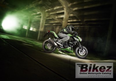 2015 Kawasaki Z300