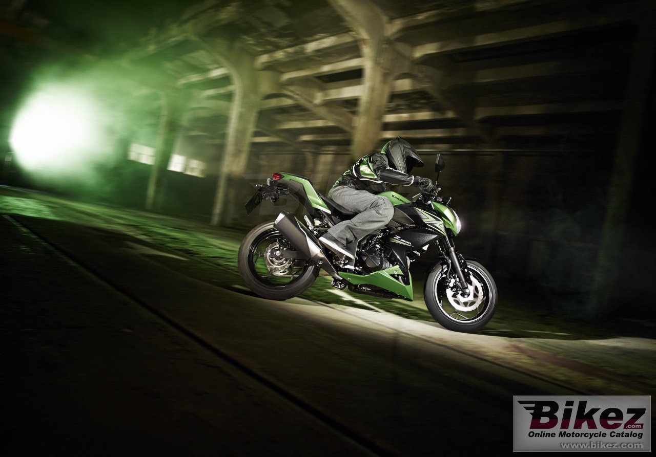 Kawasaki Z300