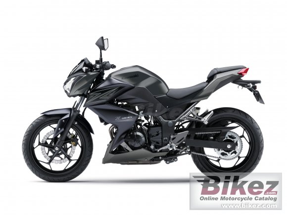 2015 Kawasaki Z300