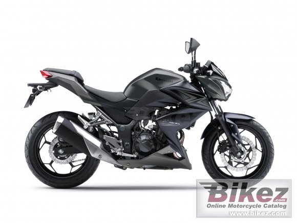 2015 Kawasaki Z300