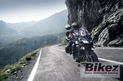 2015 Kawasaki Versys  650