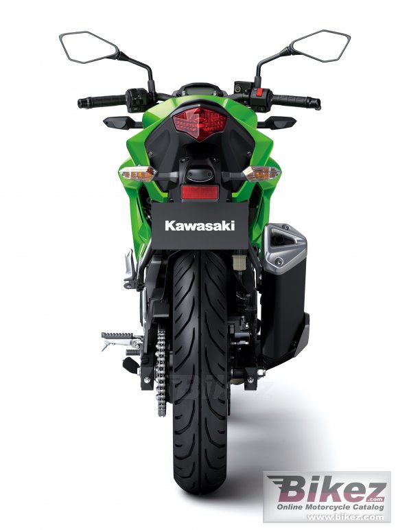 2015 Kawasaki Z250SL